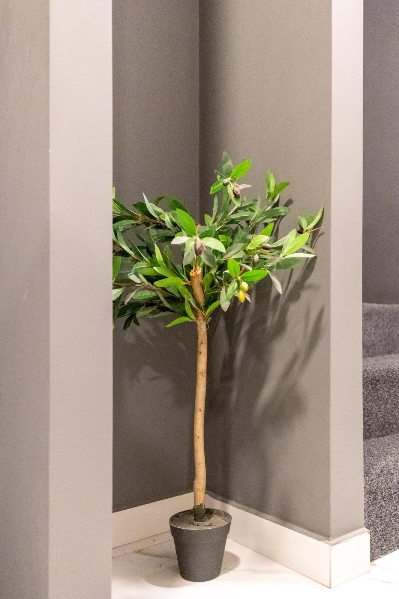 Athenian Boutique Apartments 外观 照片